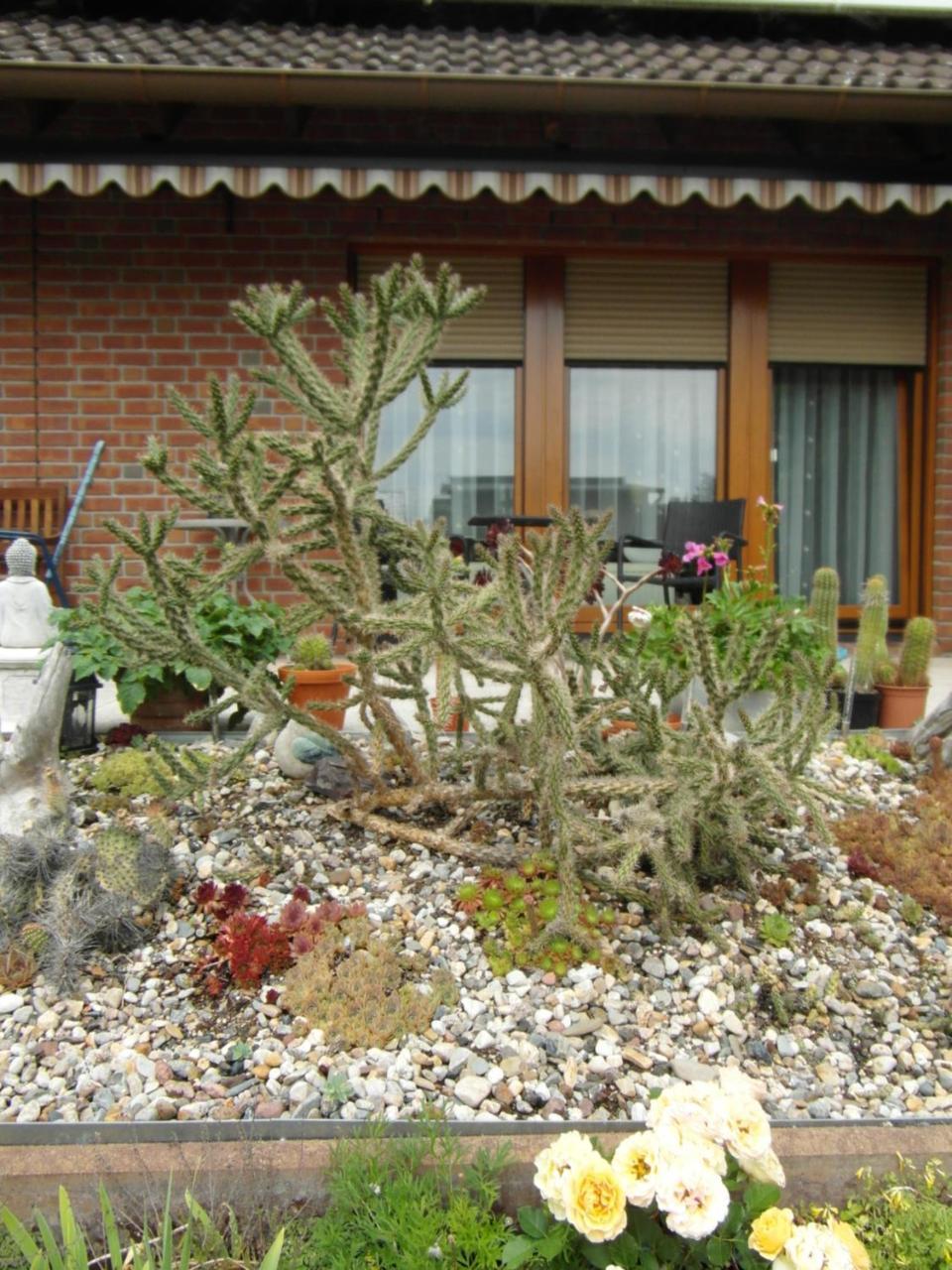 Ferienwohnung Borchert Rathenow Exterior foto