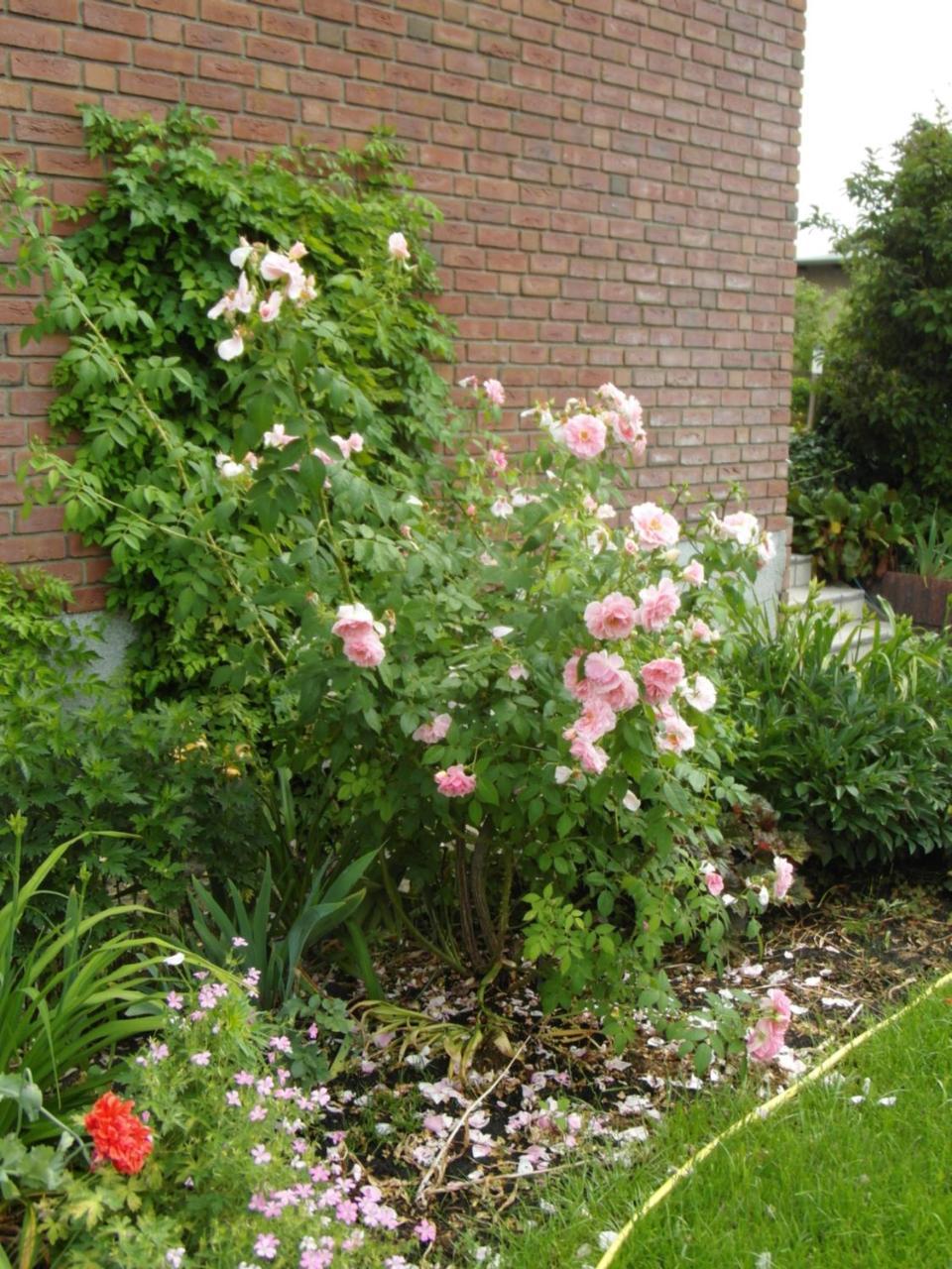 Ferienwohnung Borchert Rathenow Exterior foto